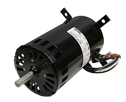 Motor P-40 - 232846